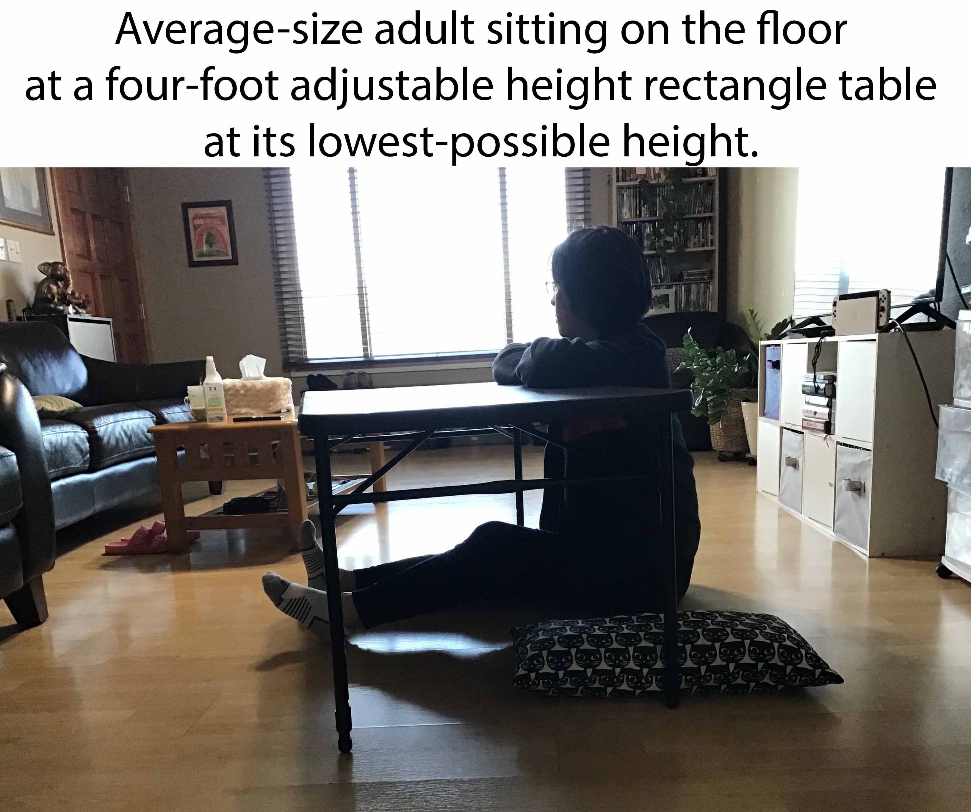 4 foot rectangle tables (adjustable heights)