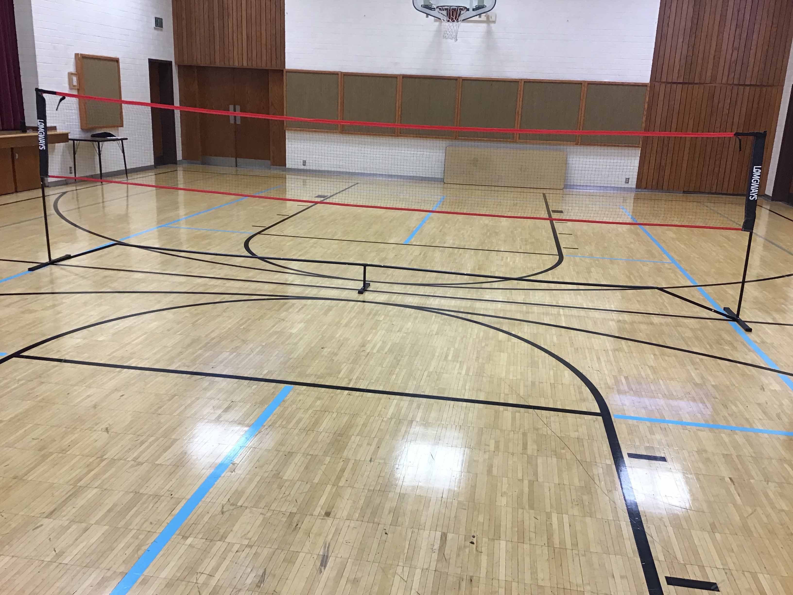 badminton / tennis / pickleball net