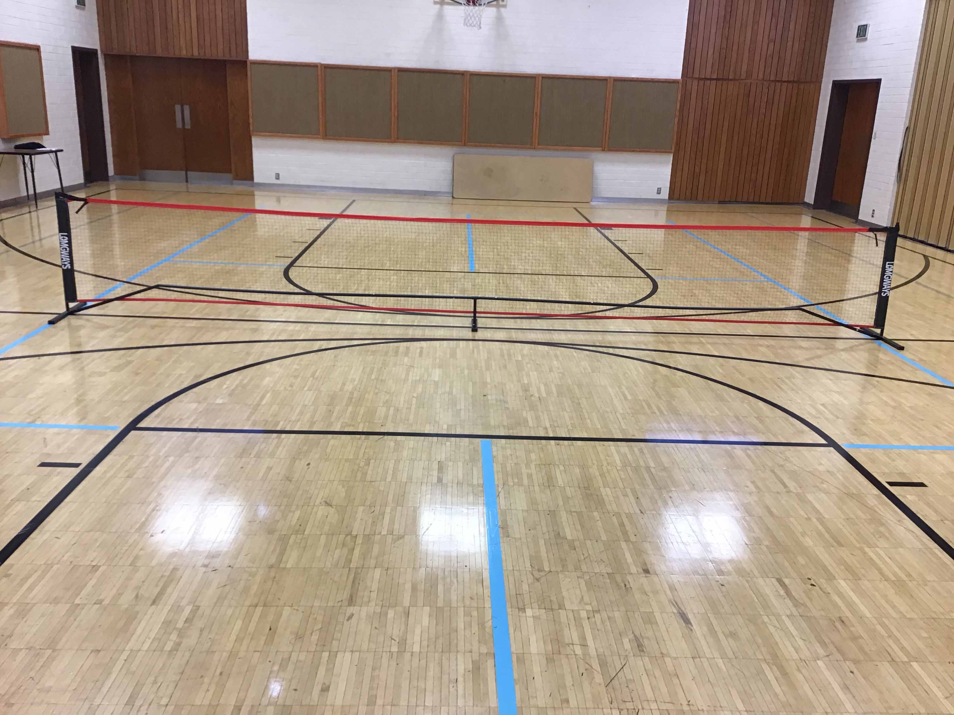 badminton / tennis / pickleball net