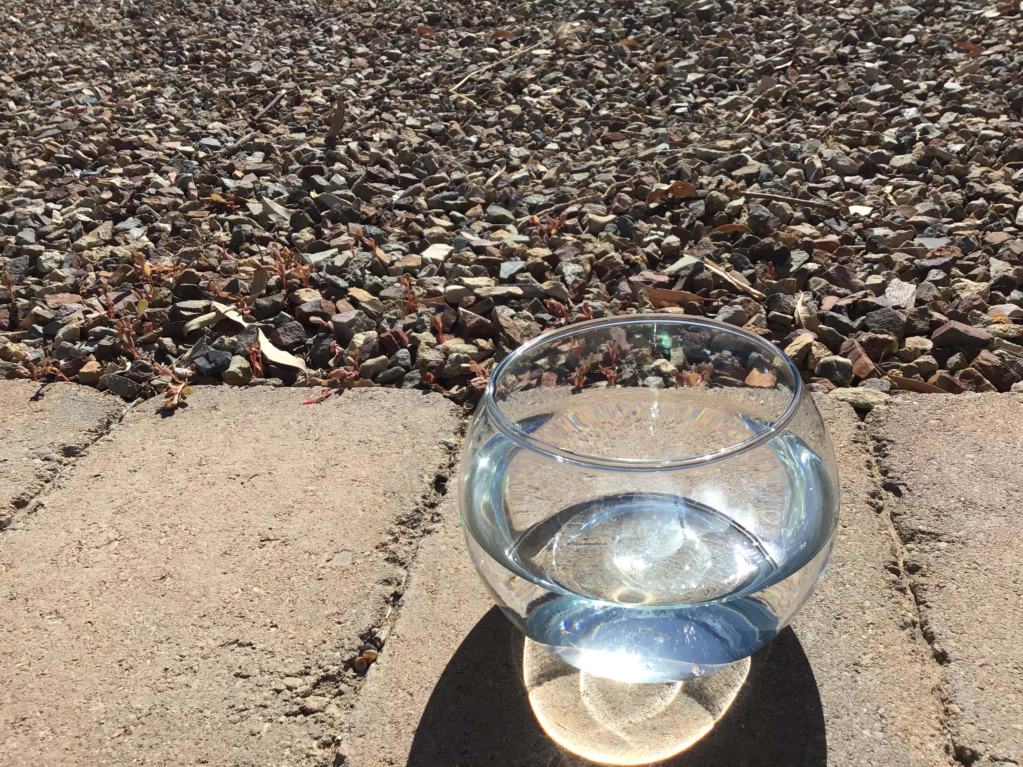 glass fish bowl vase (3.3 x 2.8 x 3.5)