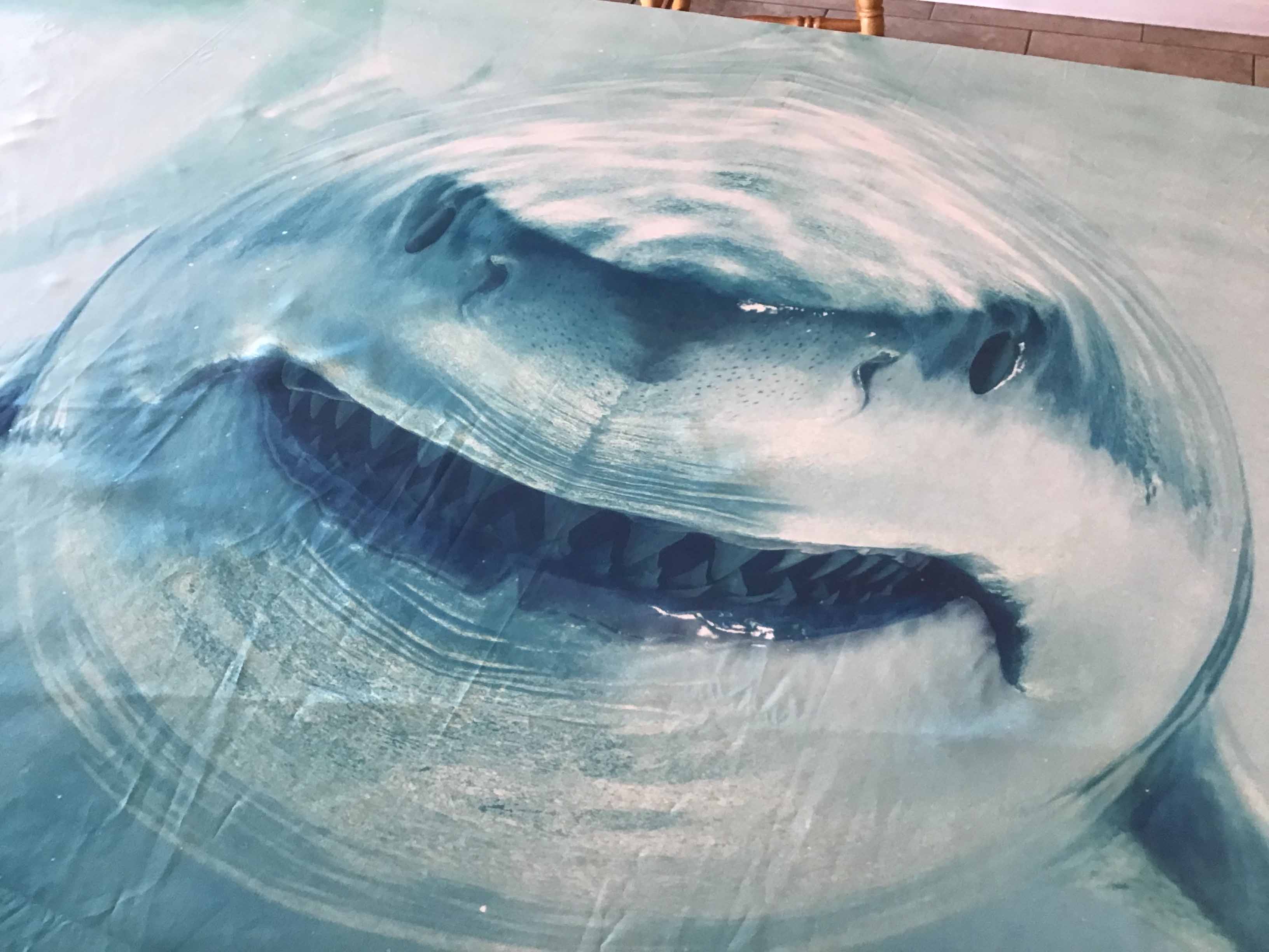 backdrop / tablecloth (fabric, shark) - 72 x 96