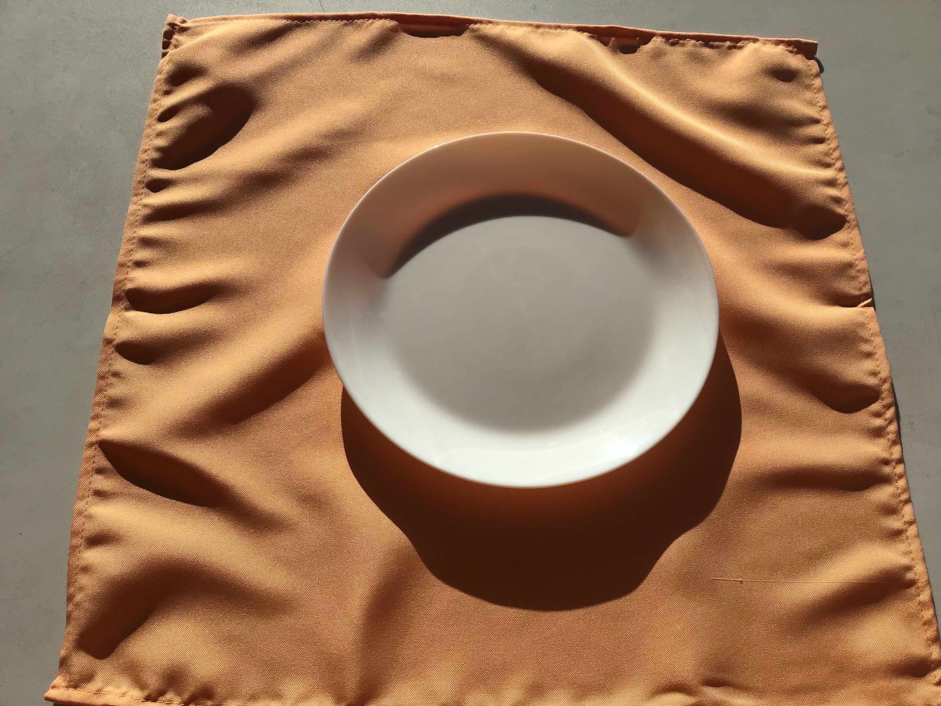 cloth dinner napkins (peach) - 20 x 20