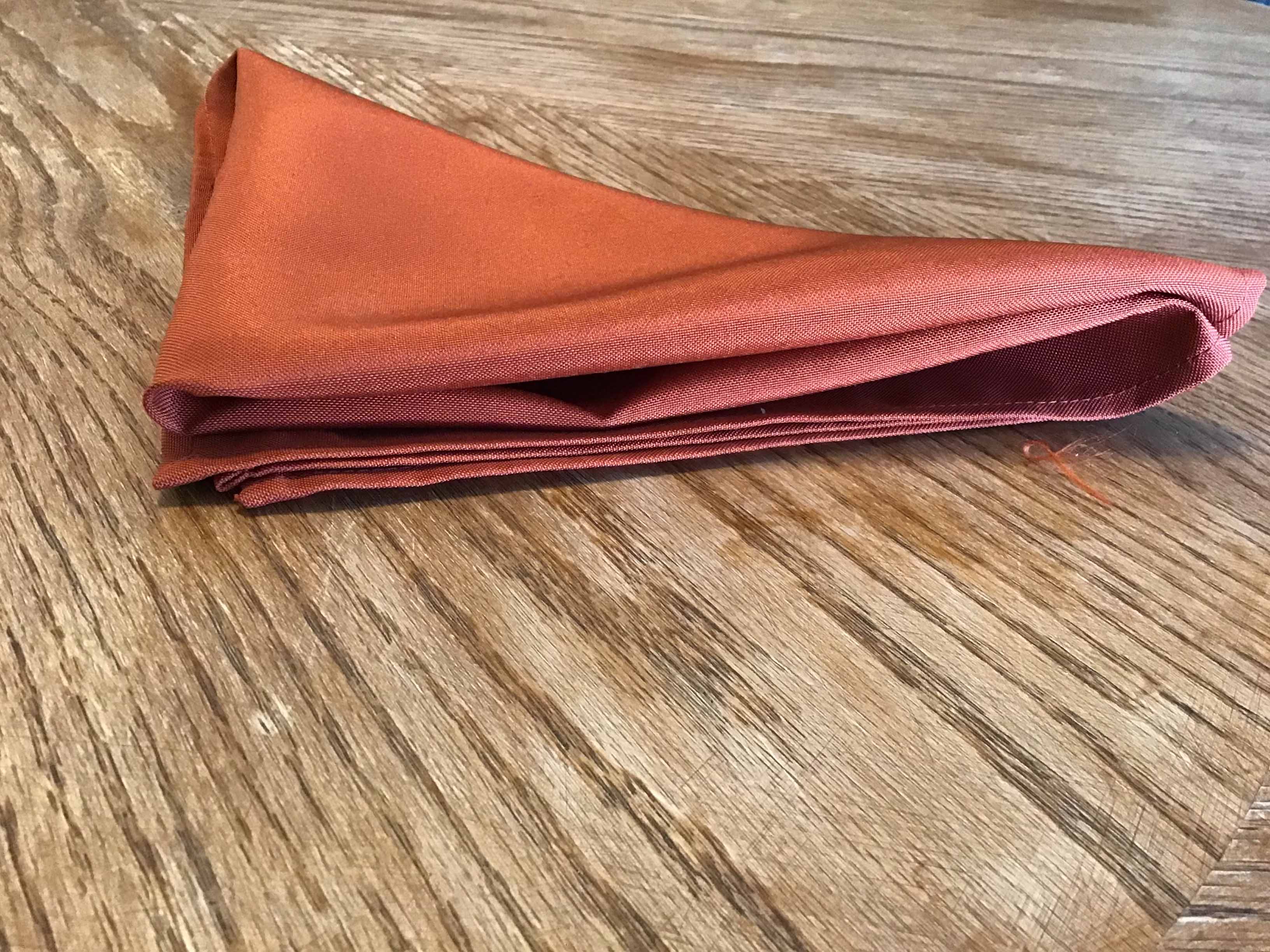 cloth dinner napkins (rust) - 20 x 20