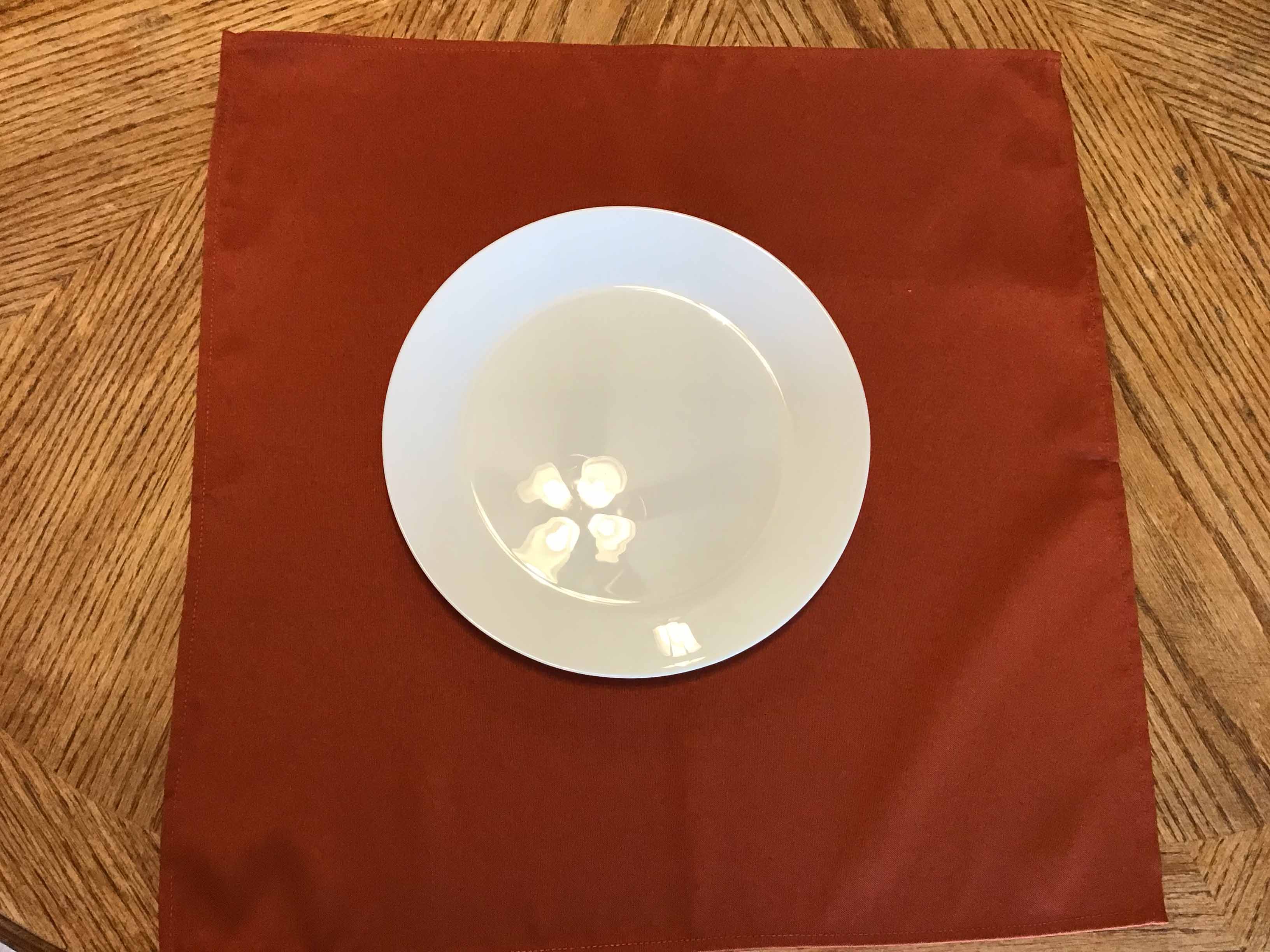 cloth dinner napkins (rust) - 20 x 20