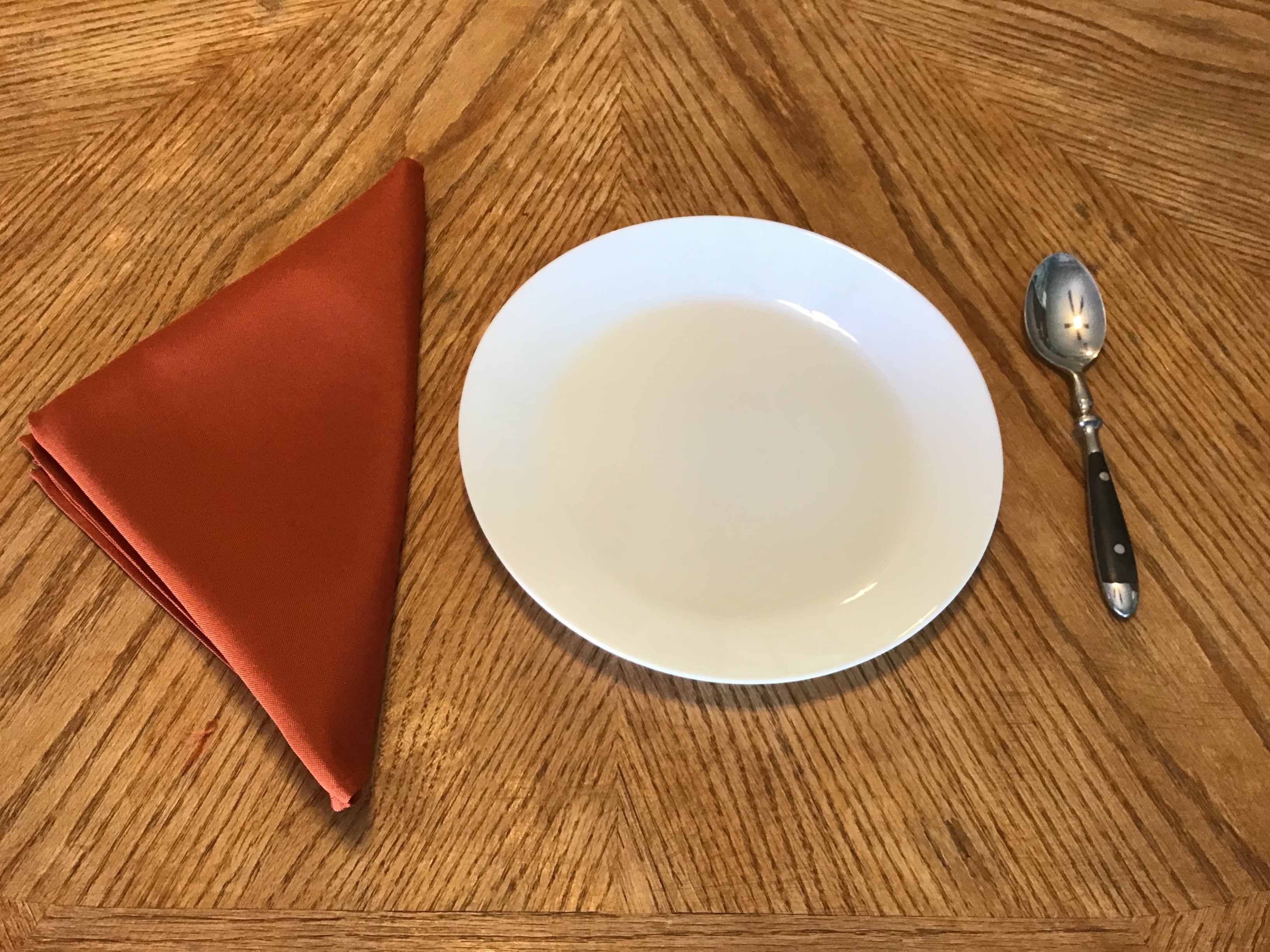 cloth dinner napkins (rust) - 20 x 20
