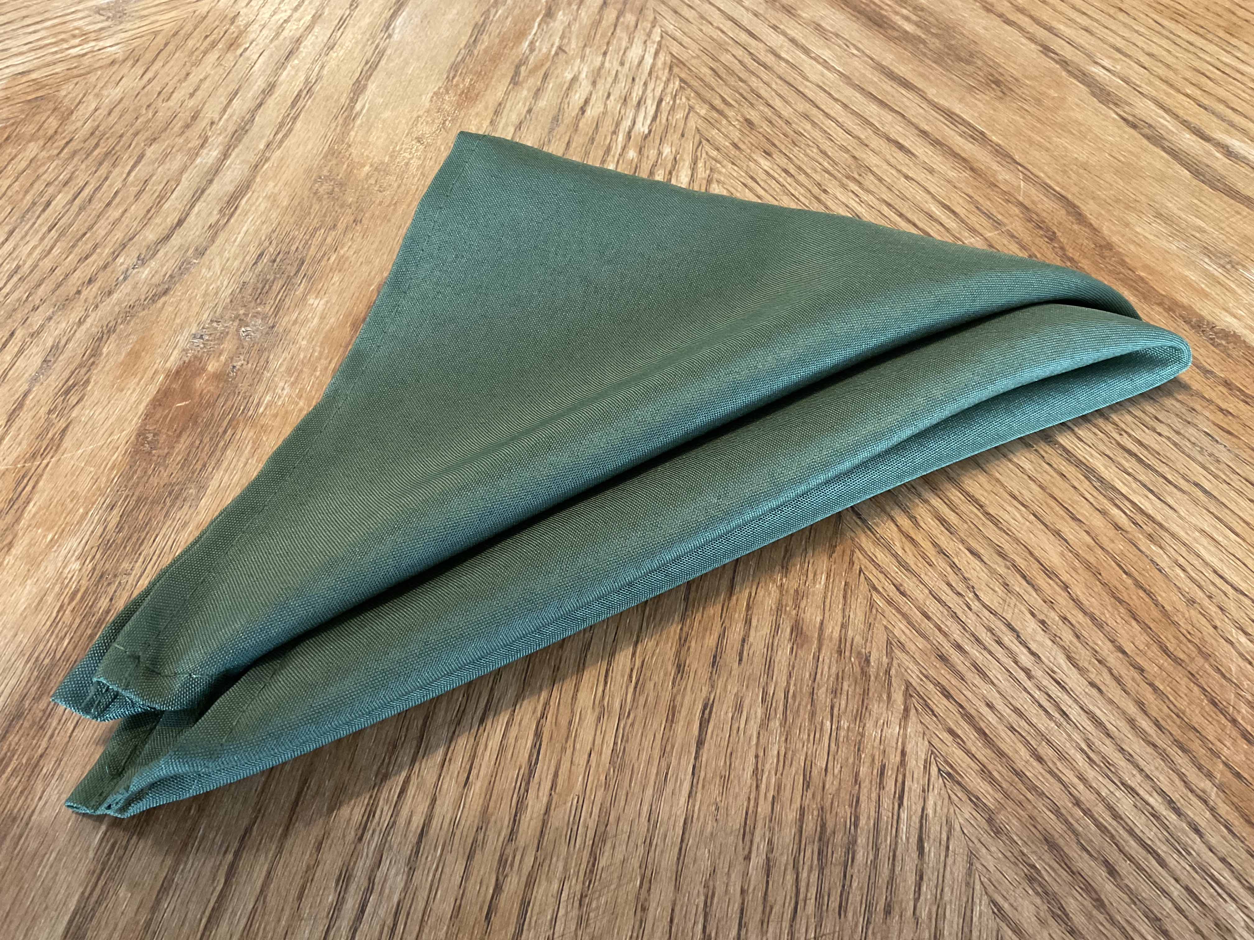 cloth dinner napkins (olive green) - 17 x 17