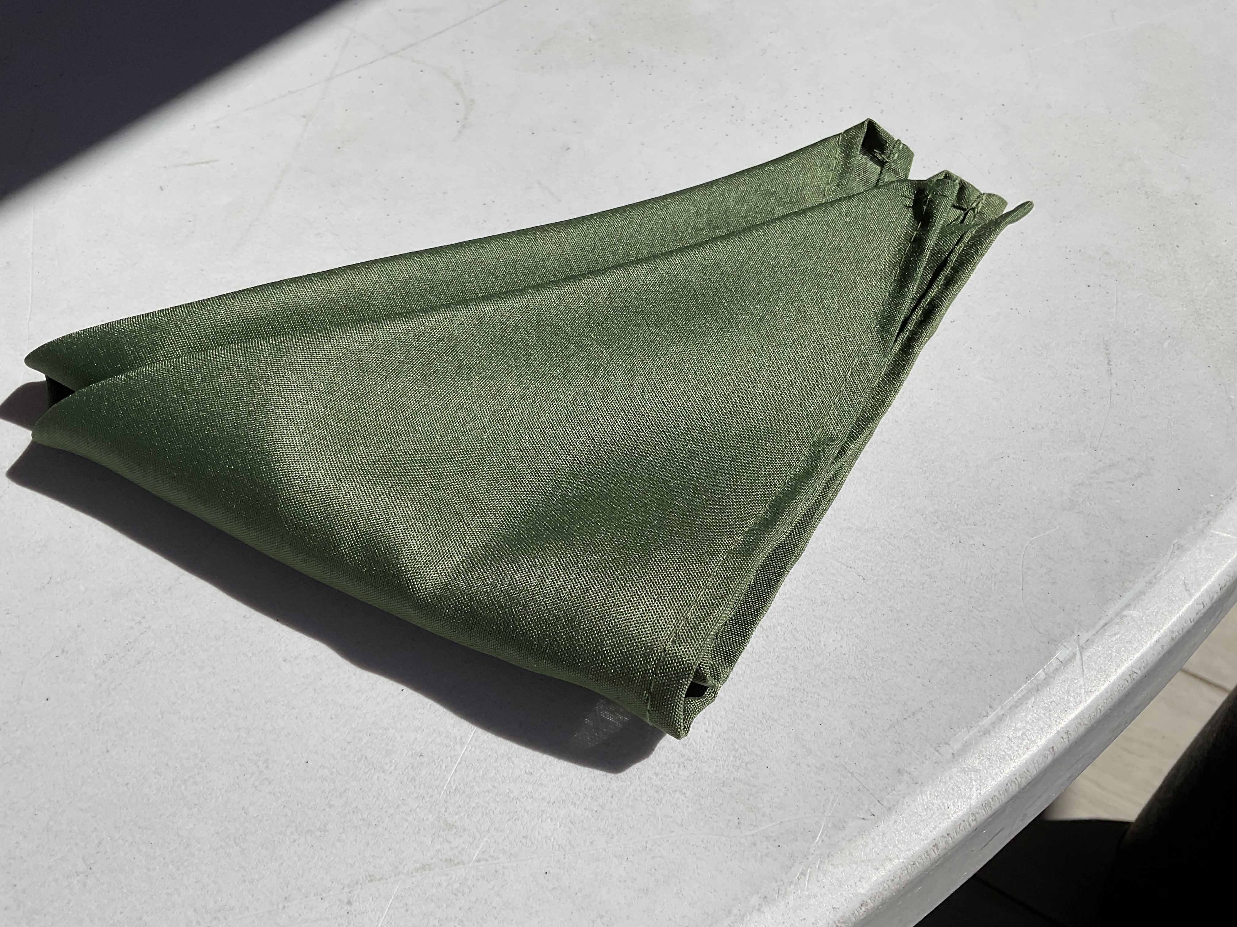 cloth dinner napkins (olive green) - 17 x 17