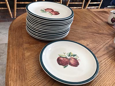 dinner plates - ceramic (Apple Casuals collection) - 10 1/2