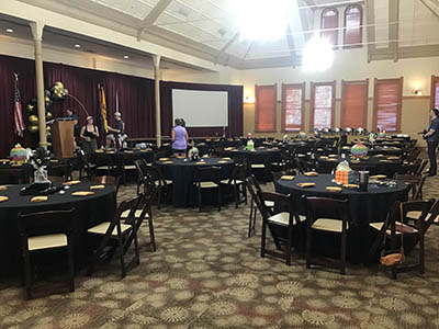 cloth dinner napkins (gold) - 17 x 17