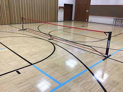 badminton / tennis / pickleball net