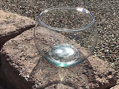 glass fish bowl vase (3.3 x 2.8 x 3.5)