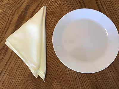 cloth dinner napkins (ivory) - 17 x 17