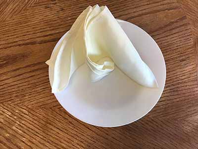 cloth dinner napkins (ivory) - 17 x 17