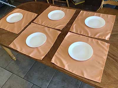 cloth dinner napkins (peach) - 20 x 20