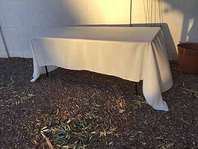 rectangle tablecloths (ivory) - 60 x 126