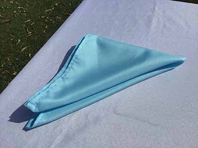 cloth dinner napkins (light blue) - 17 x 17