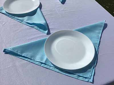 cloth dinner napkins (light blue) - 17 x 17