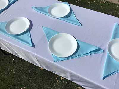 cloth dinner napkins (light blue) - 17 x 17