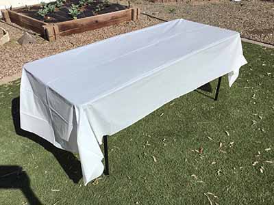 rectangle tablecloth (white, plastic, disposable) - 54 x 108