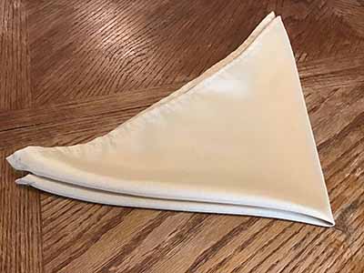 cloth dinner napkins (champagne) - 17 x 17