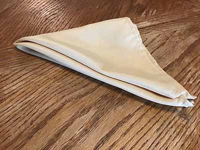 cloth dinner napkins (champagne) - 17 x 17