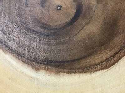 wood serving platter (10-11 diameter)