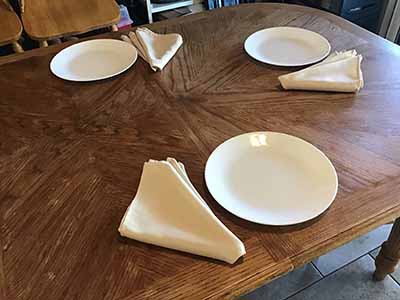 cloth dinner napkins (beige) - 17 x 17