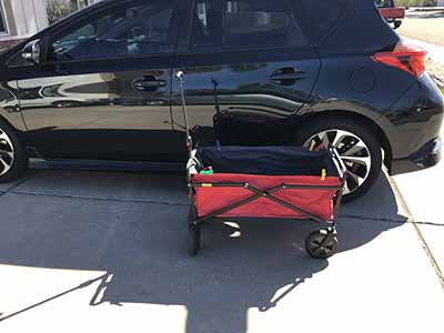 collapsible wagon cart (150 lb. capacity)