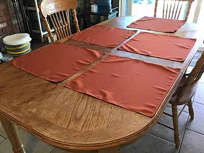 cloth dinner napkins (rust) - 20 x 20