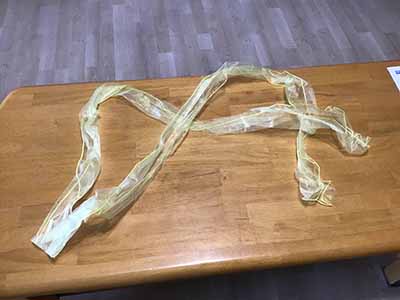 chair sash (organza, yellow) - 6 x 102