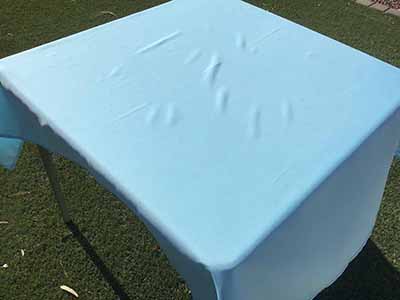 square tablecloths (light blue) - 54
