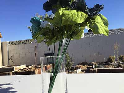 cylindical glass vase - 6 x 3.25