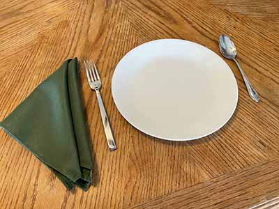cloth dinner napkins (olive green) - 17 x 17