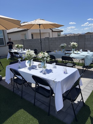 tablecloth clips - regular (for up to 1.77 thick tables)