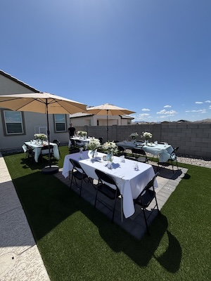 tablecloth clips - regular (for up to 1.77 thick tables)