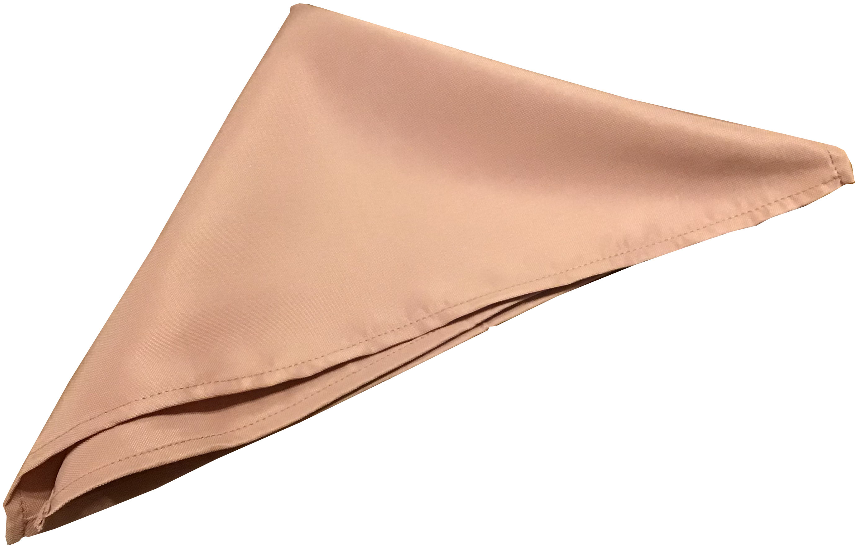 cloth dinner napkins (dusty rose) - 17 x 17