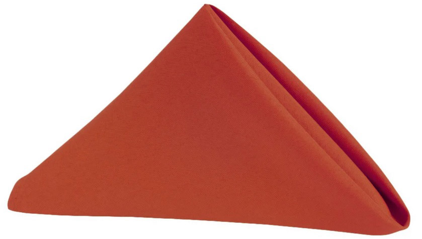 cloth dinner napkins (rust) - 20 x 20